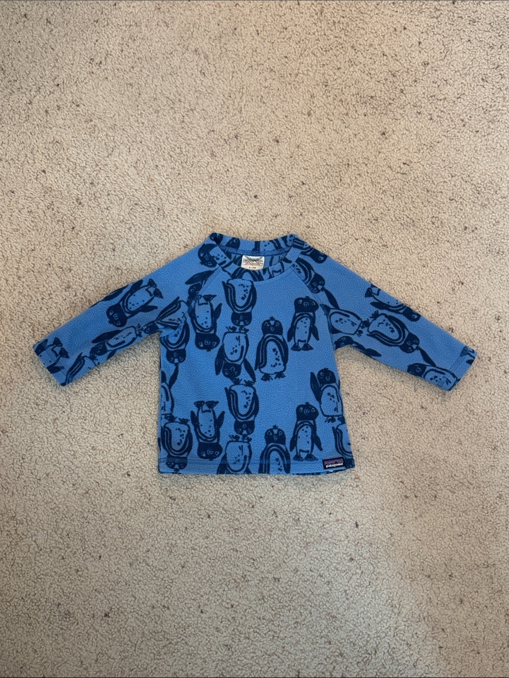 Patagonia Kids Light Blue Penguin Print sweatshirt